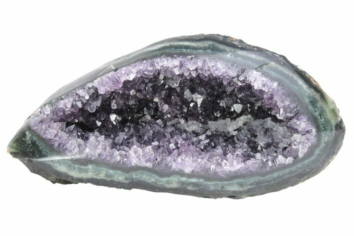 Purple Amethyst Geode with Polished Face - Uruguay #233646